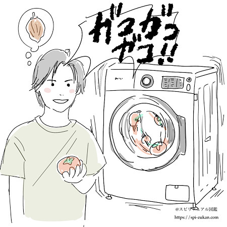 干し柿　洗濯機イラスト
